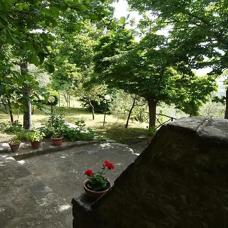 Chiara * Cortona