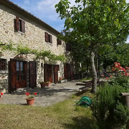 Chiara Villa
